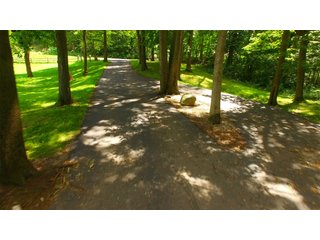 TRACT 4 - REAL ESTATE AUCTION - 2 PRESTIGUOUS HOMES - 66+/- ACRES IN 5 TRACTS IN NOBLE COUNTY, INDIANA